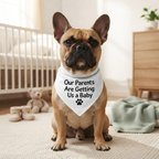 Personalized Announcement Pet Bandana