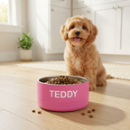Personalized Pet Bowl for New Pet Parents